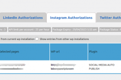 Social Media Auto Publish - Manage Authorizations-Instagram